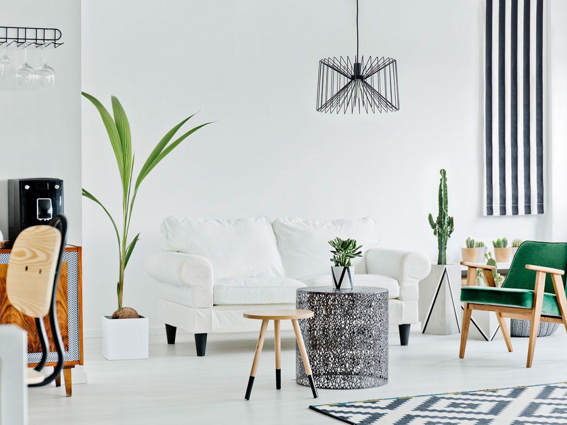 Renovated apartment